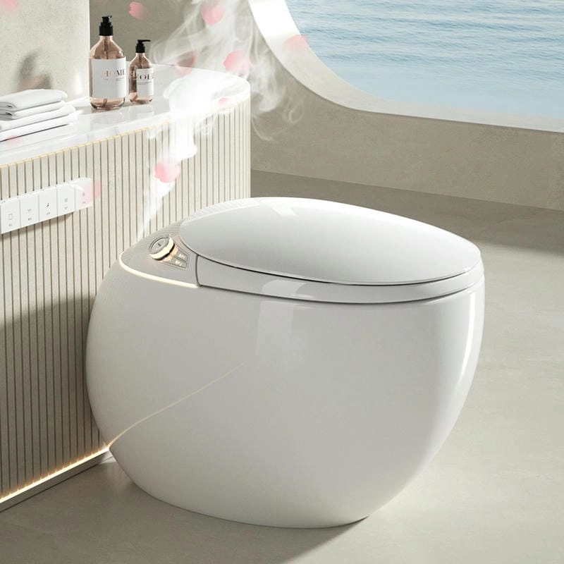 Bồn cầu thông minh phổ biến được nhiều gia đình chọn