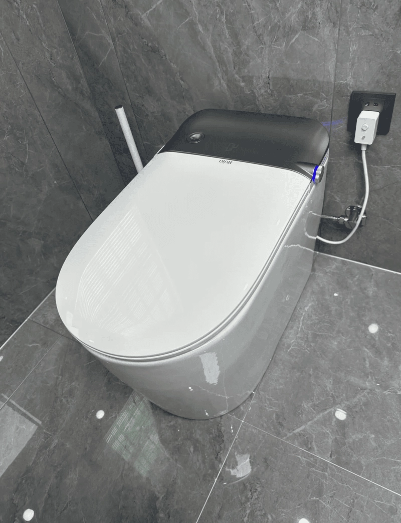 Bồn cầu thông minh thông dụng phù hợp nhiều phân khúc