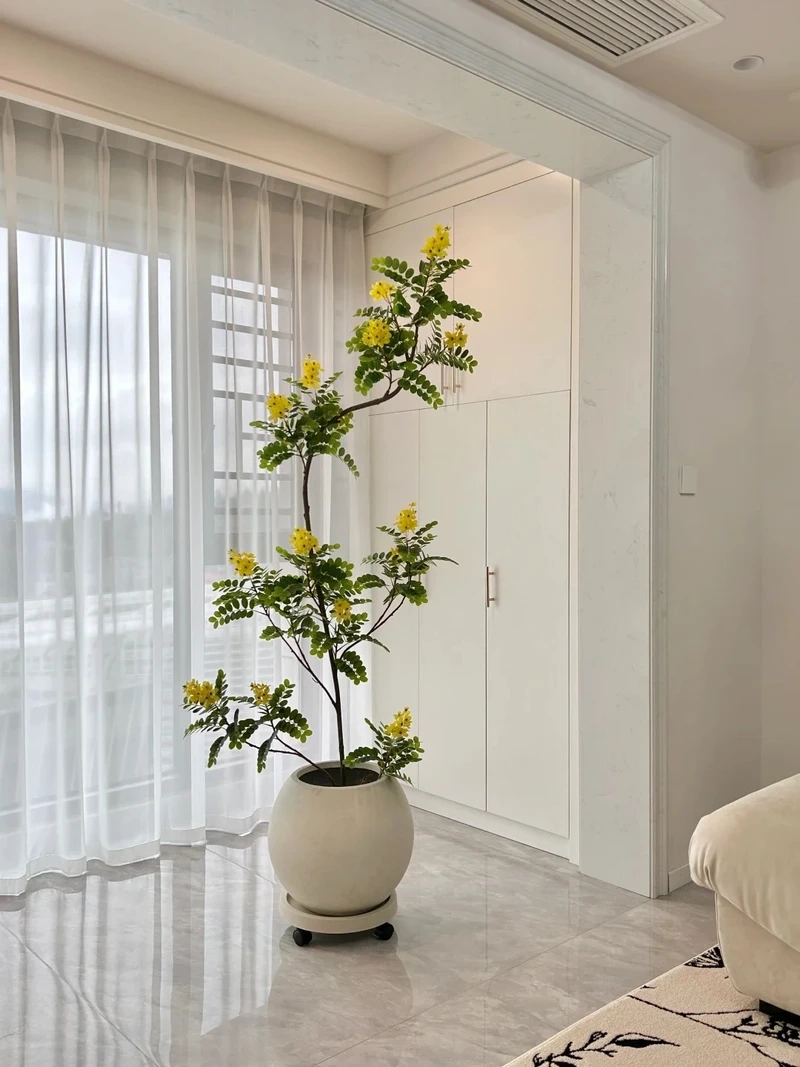 Cách chọn cây cảnh phòng khách phù hợp