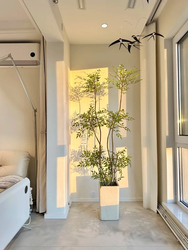 Gọn gàng và hiện đại với cây cảnh phòng khách phong cách tối giản