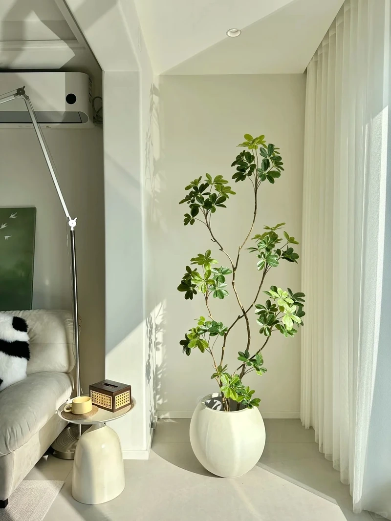 Tinh tế và hài hòa nhờ cây cảnh phòng khách trang trí nội thất