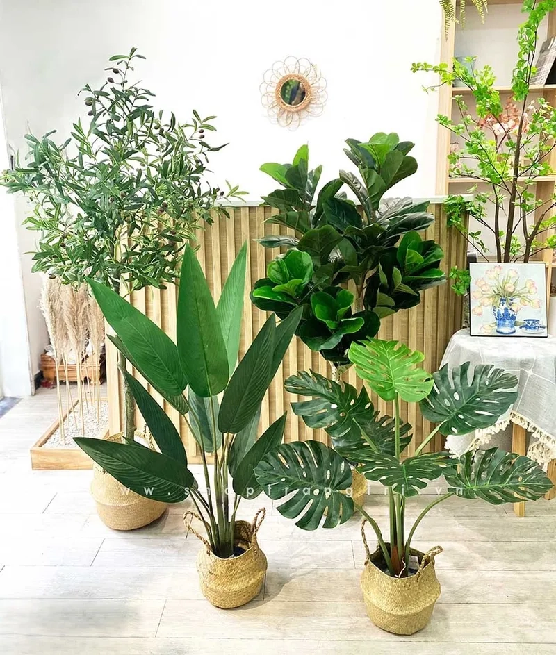 Ảnh cây giả trang trí tạo điểm nhấn độc đáo cho căn phòng
