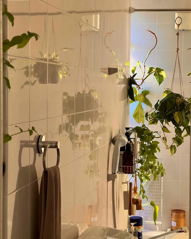 Cây xanh nhà vệ sinh tạo điểm nhấn tinh tế