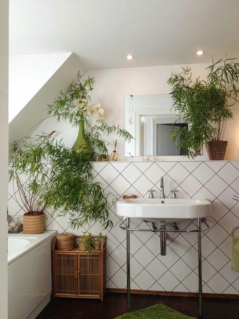 Cây xanh trang trí toilet mang nét tươi mới