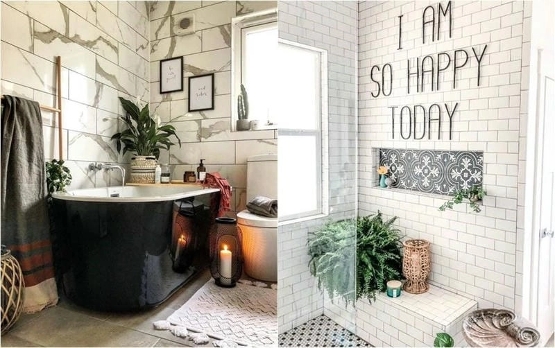 Cây phong thủy nhà tắm cân bằng năng lượng