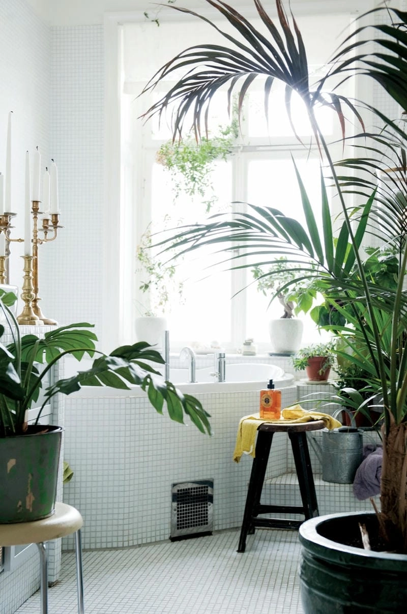 Không gian xanh trong nhà tắm thêm phần thoáng đãng