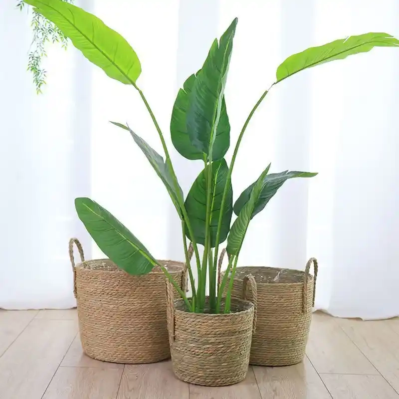 Ảnh giỏ cói chất liệu tự nhiên cho không gian thân thiện