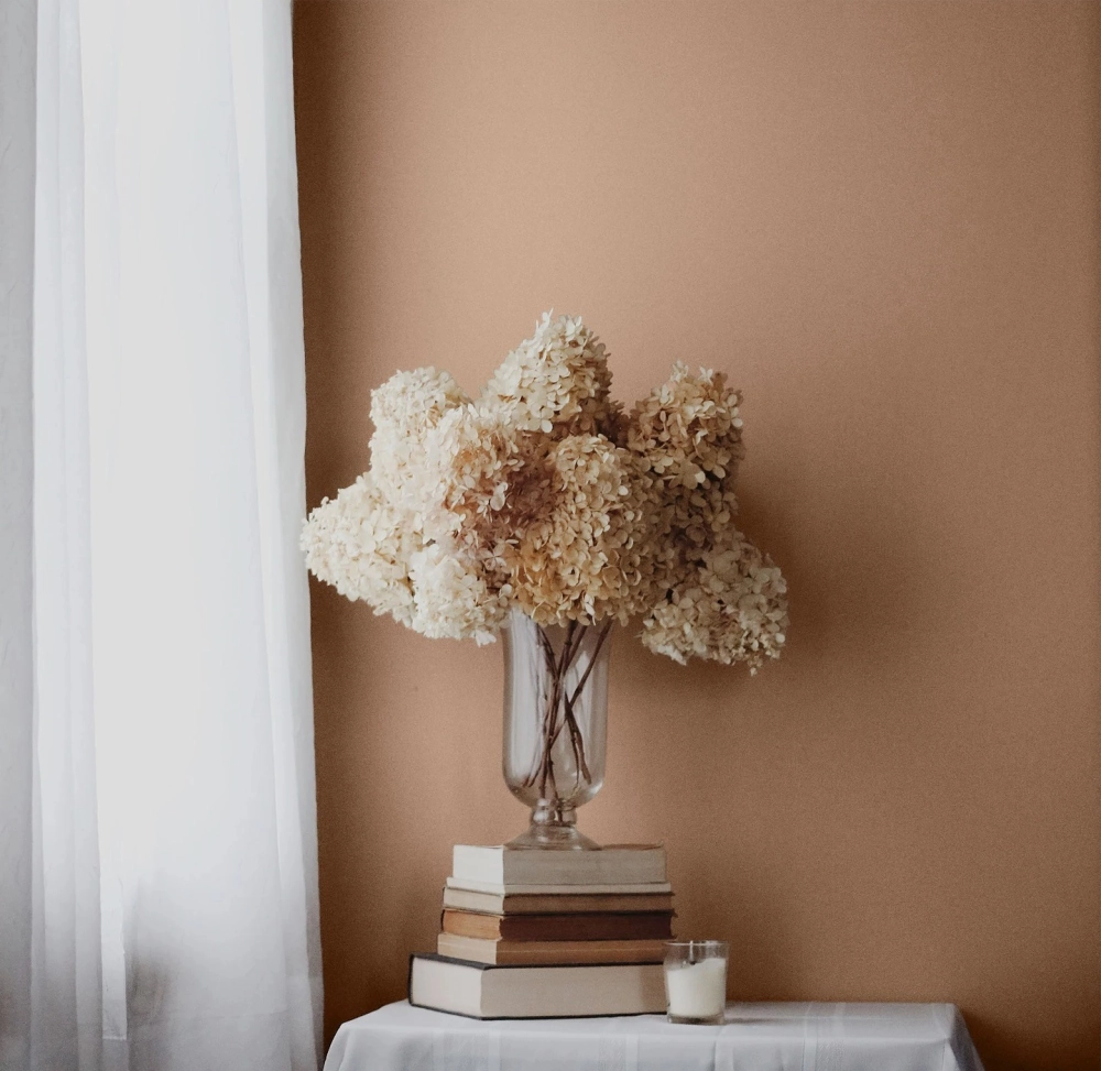 Bình hoa cẩm tú cầu khô trang trí nghệ thuật trên nền màu sơn phòng ngủ tông nâu cam đất ấm áp