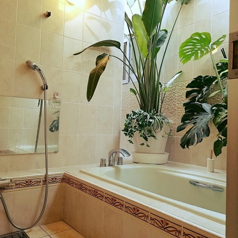 Mẫu nhà vệ sinh đáp ứng nhu cầu tiện nghi