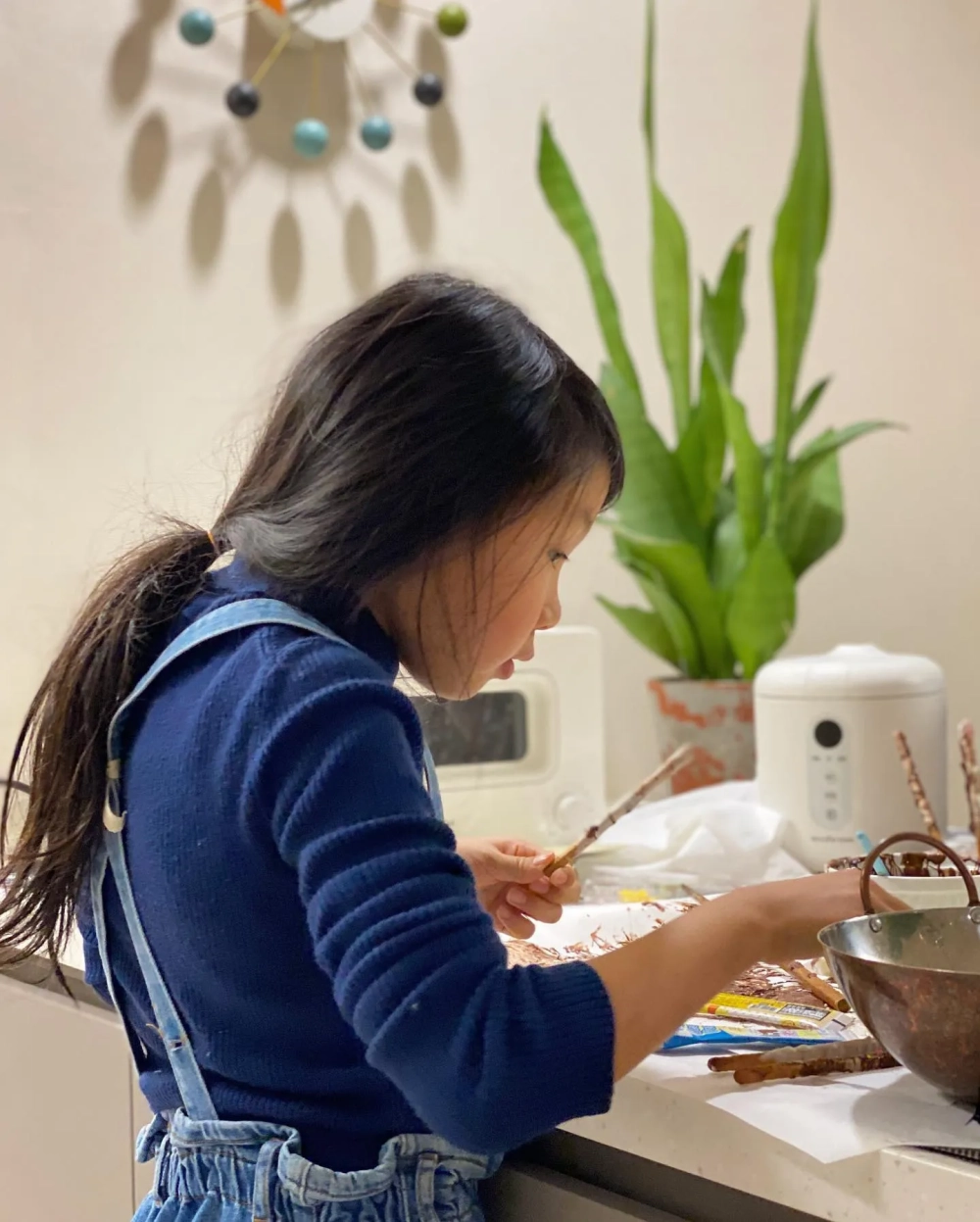 Chậu cây lưỡi hổ decor lớn cho góc phòng khách sang trọng