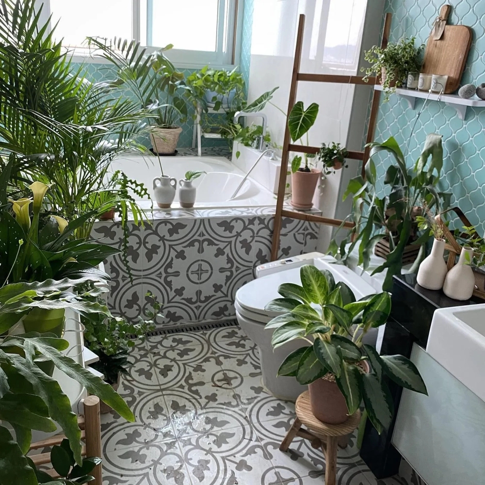 Các loại cây trong nhà tắm dạng treo giúp tiết kiệm diện tích