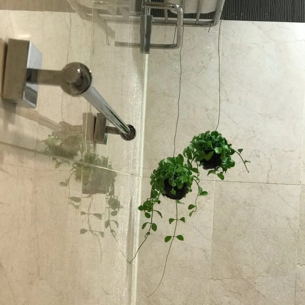 Không gian thư giãn với nhiều loại cây trong nhà tắm