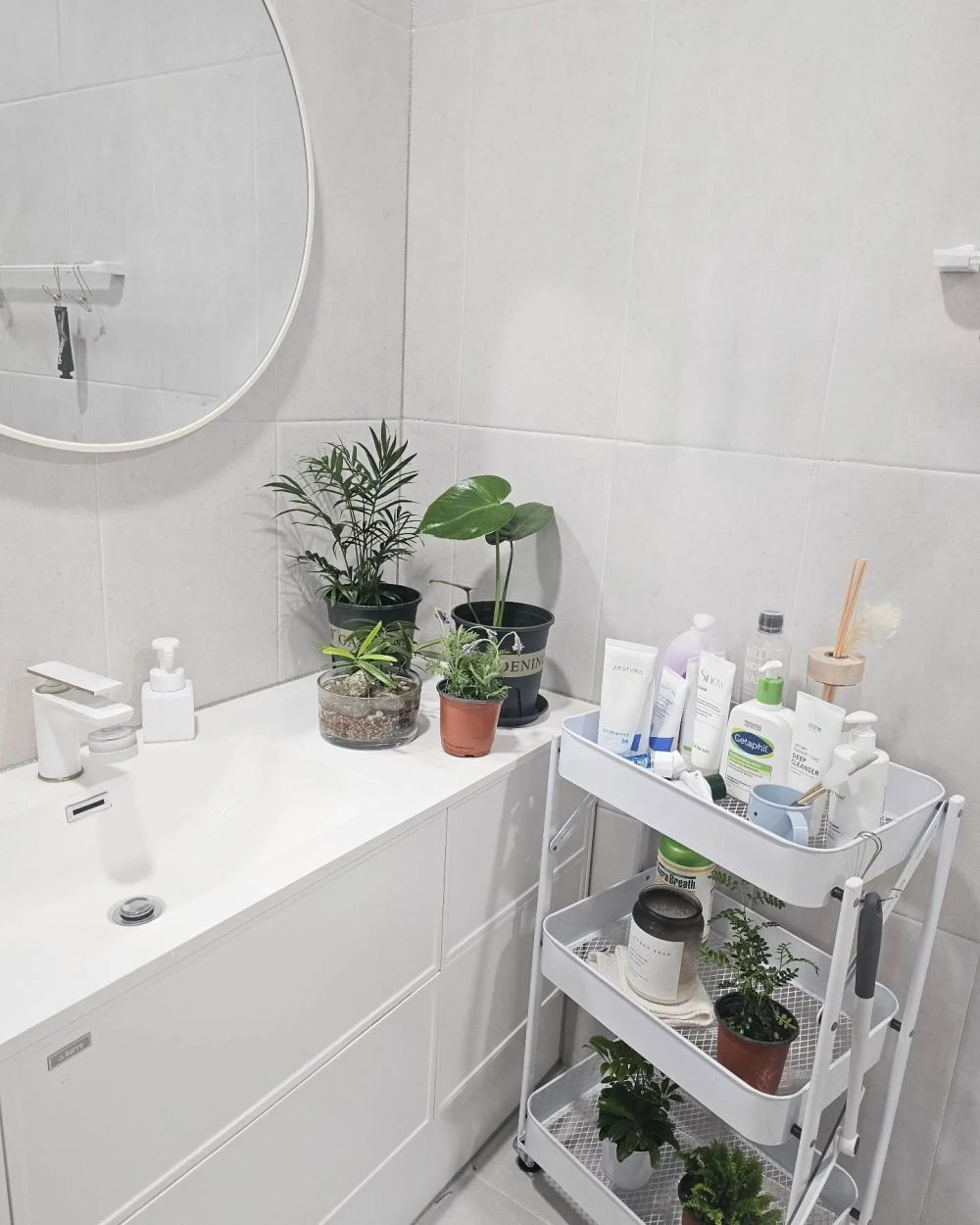 Các loại cây cảnh mini trang trí bồn rửa mặt màu trắng