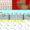 Chọn ngày tốt làm hàng rào tháng 2 âm lịch năm 2026 chuẩn nhất