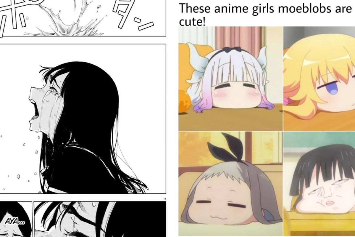 Exploring the Viral Evolution of the Anime Girl Drama Meme in 2026