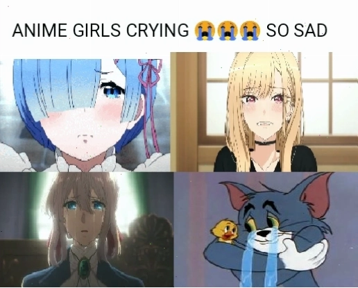 A collection of anime girls in various states of emotional distress