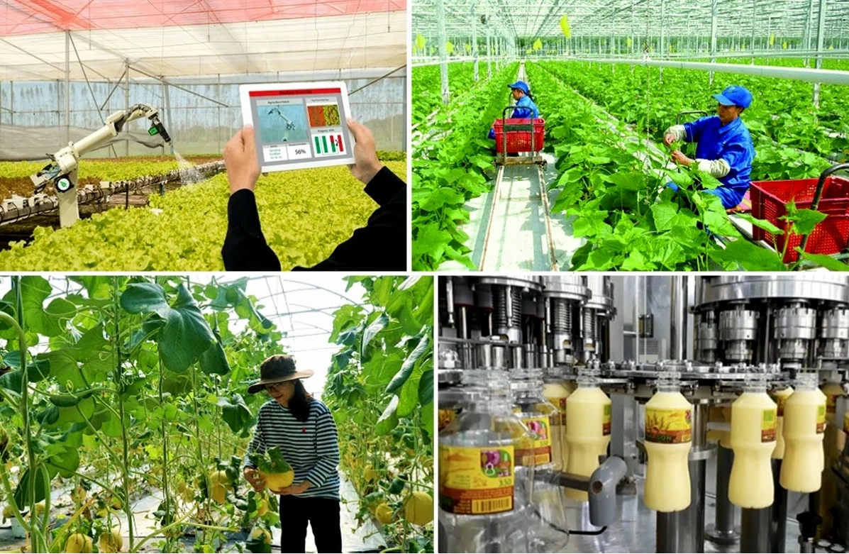 du học nhật bản ngành nông lâm nghiệp và công nghệ hiện đại