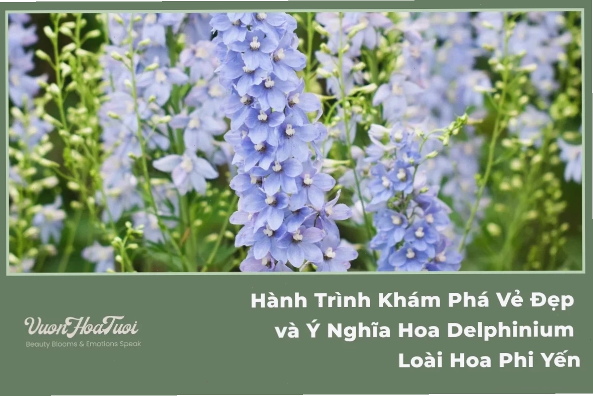 Hoa hướng dương và sự lạc quan trong quá trình khám phá các loài hoa và ý nghĩa biểu tượng của chúng