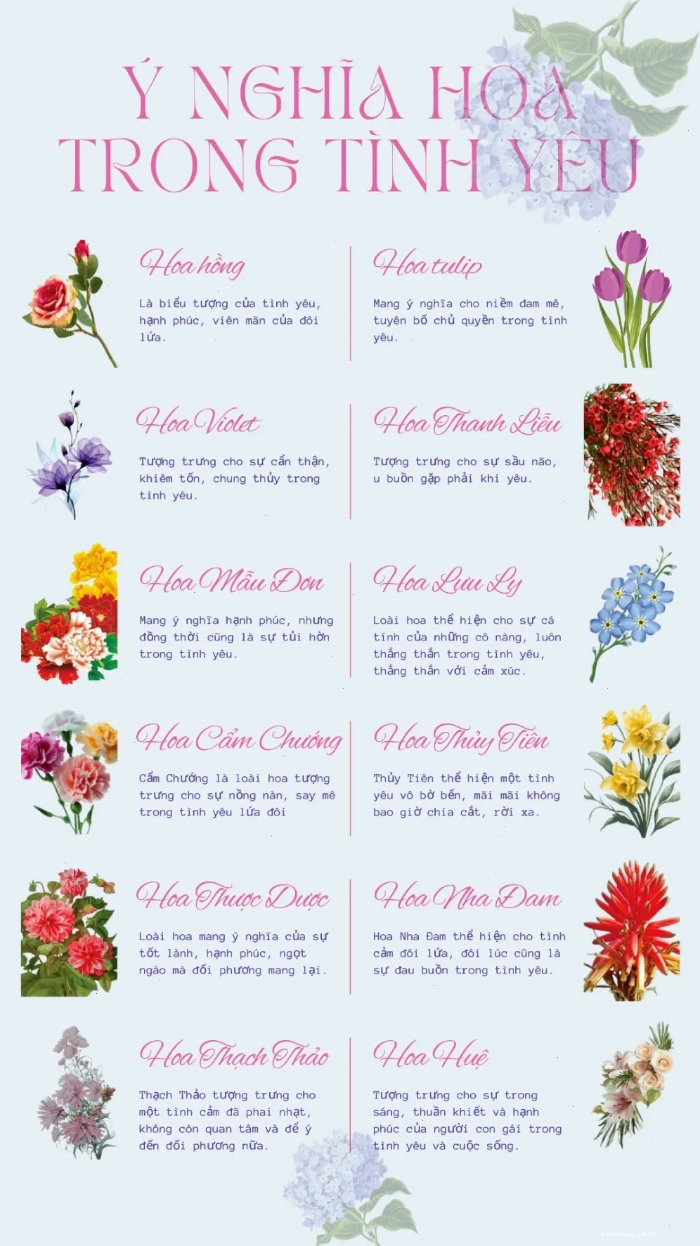 Vẻ đẹp của hoa hồng và tình yêu nồng cháy trong khám phá các loài hoa và ý nghĩa biểu tượng của chúng
