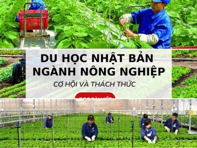 Du học Nhật Bản ngành nông lâm nghiệp và triển vọng 2026